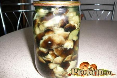 Консервированные маринованные грибы шиитаке