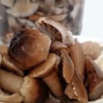 Как готовить рядовки: солить, варить и мариновать
