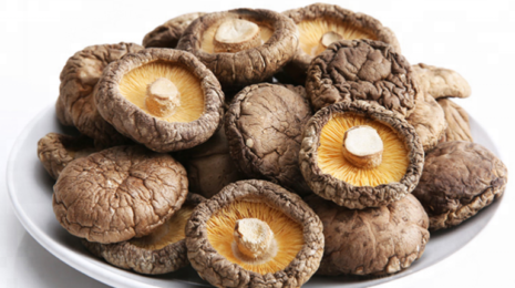 Полезные свойства грибов шиитаке на страже здоровья