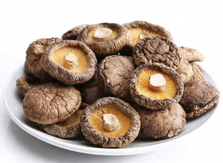 Полезные свойства грибов шиитаке на страже здоровья