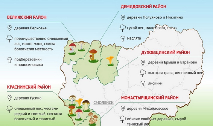 Грибная карта Краснодарского края
