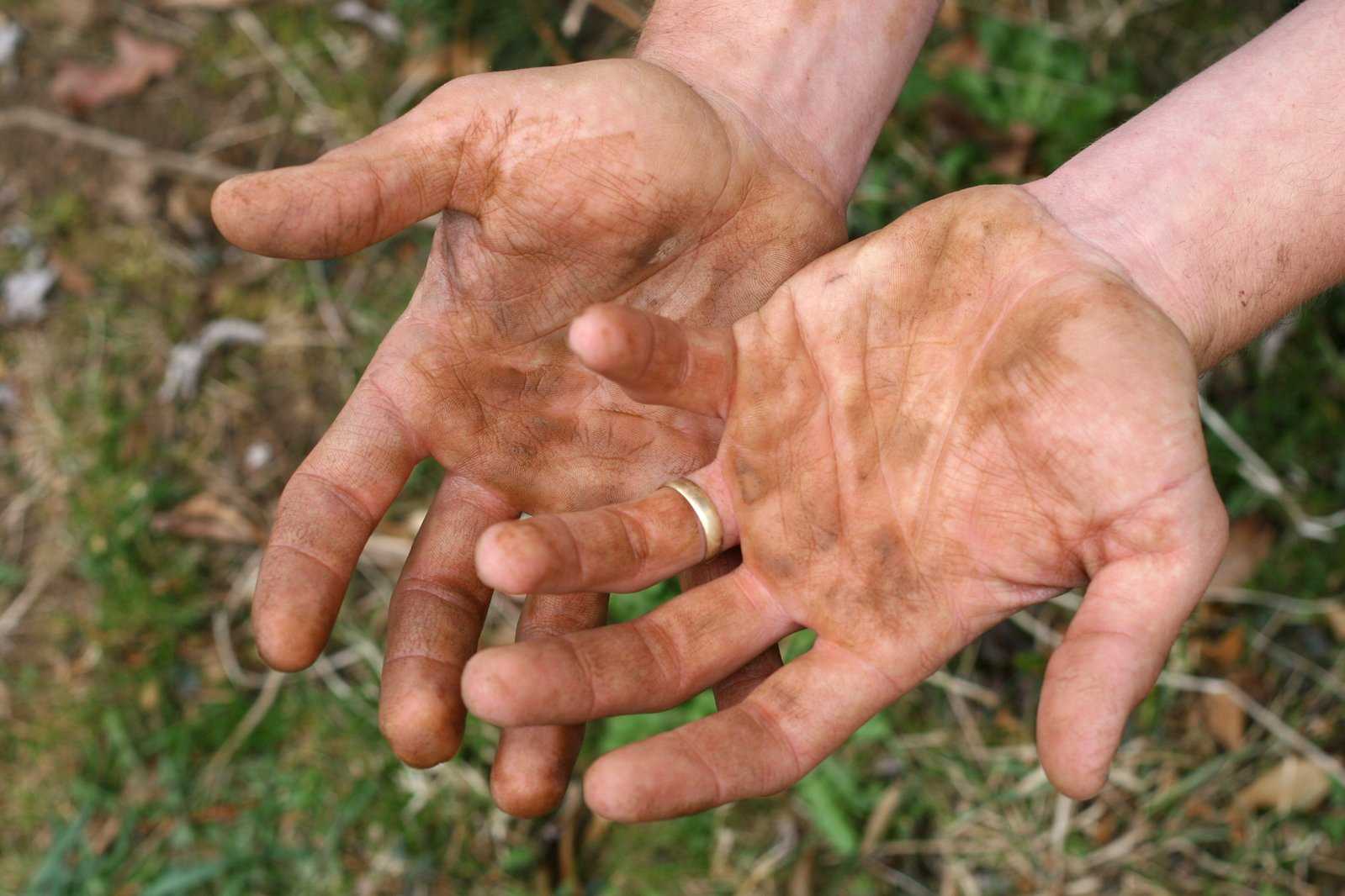 Грязные руки после чистки грибов